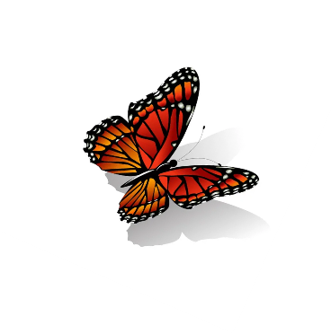 C:\Users\School\Desktop\РОЗРОБКИ\картинки\depositphotos_89311254-stock-illustration-the-monarch-butterfly-vector.png